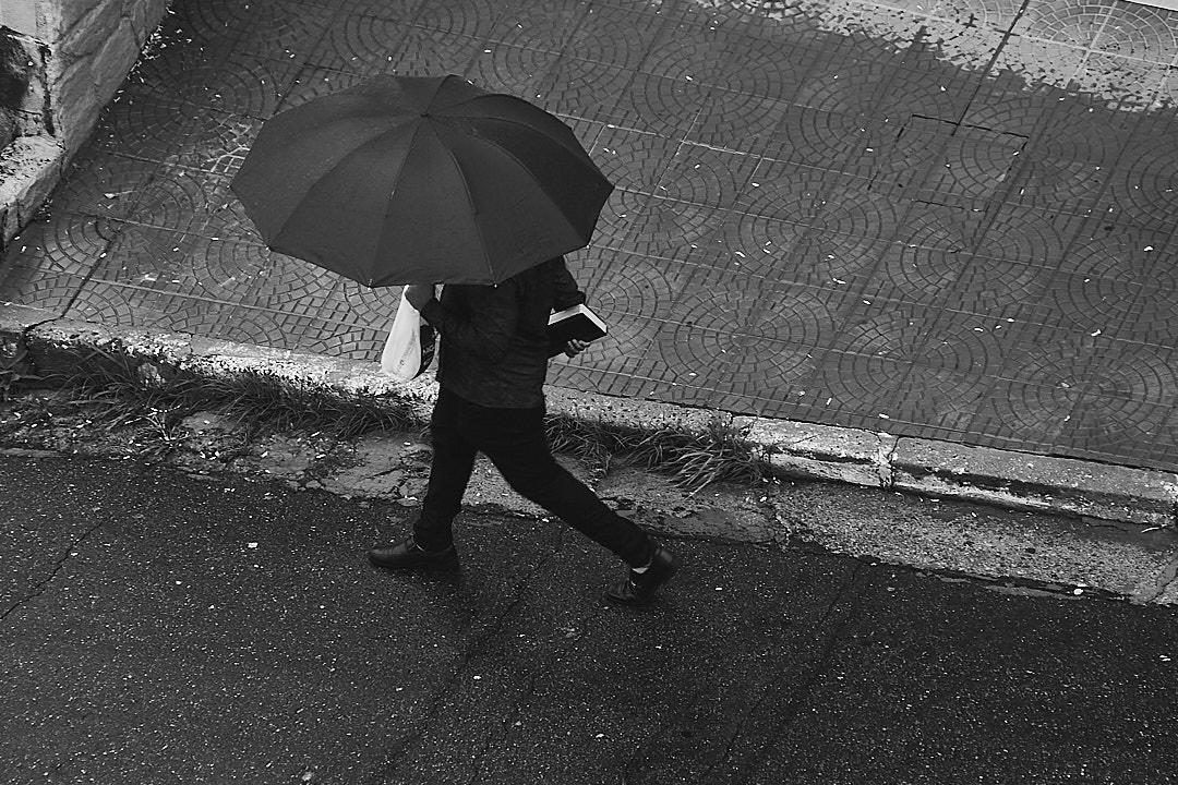 _MG_3120 1